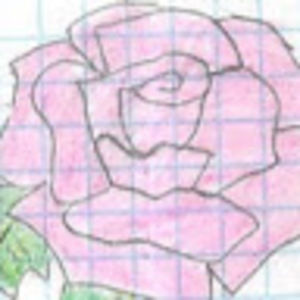 Meet your Posher, Tan k.